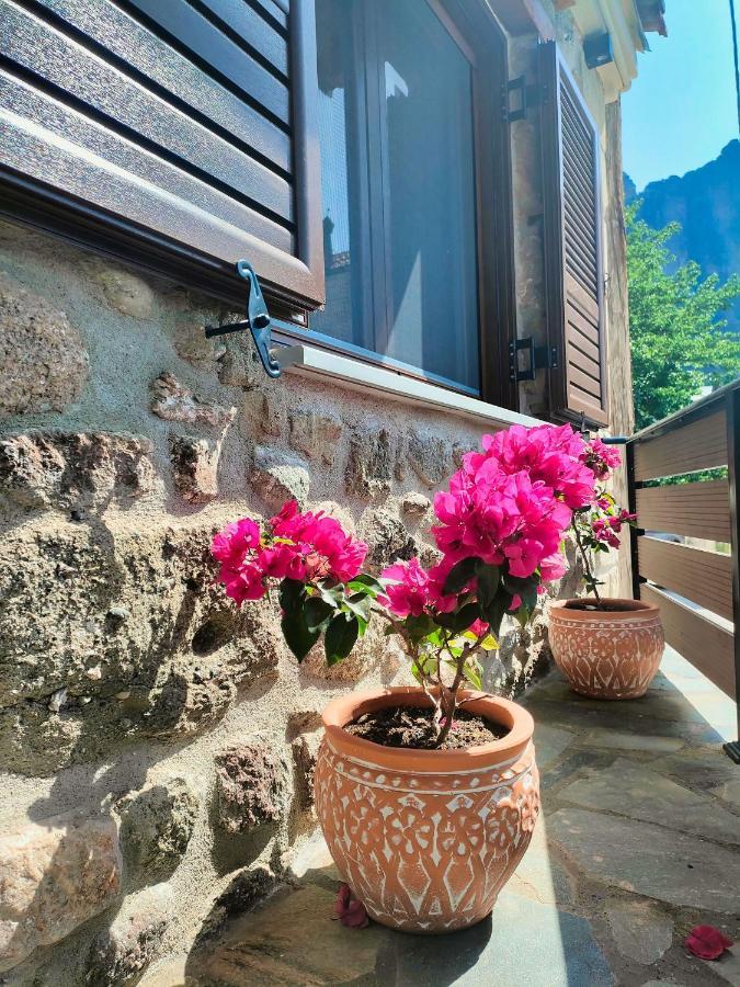 The Stone House Villa Калампака Екстериор снимка